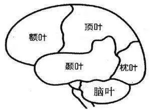 继发性癫痫究竟怎么引起的